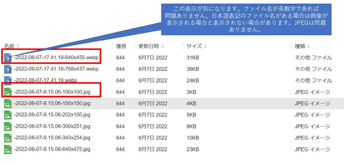 ｘサーバーファイルマネージャー