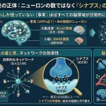 脳細胞ニューロン